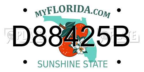D88425B Florida License Plate