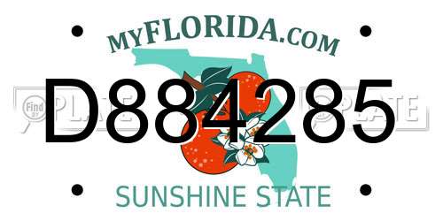 D884285 Florida License Plate