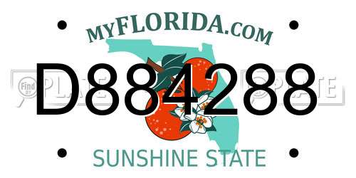 D884288 Florida License Plate