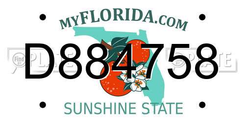 D884758 Florida License Plate