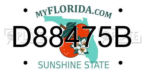 D88475B Florida License Plate