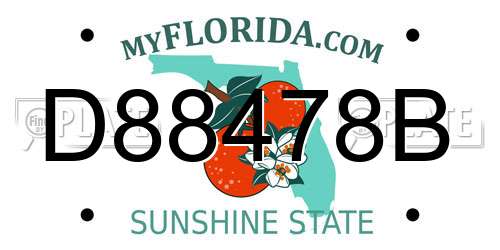 D88478B Florida License Plate