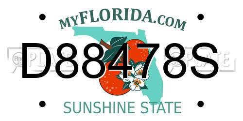D88478S Florida License Plate