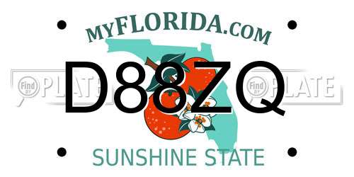 D88ZQ Florida License Plate