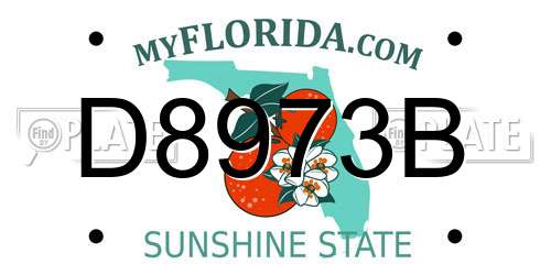 D8973B Florida License Plate