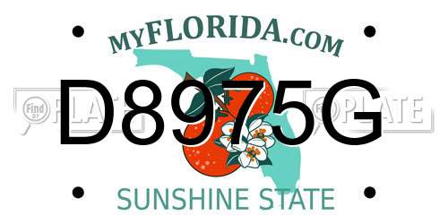 D8975G Florida License Plate