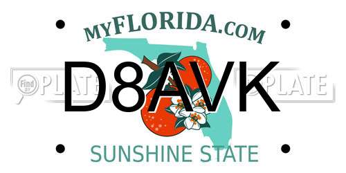 D8AVK Florida License Plate