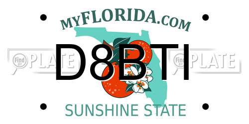 D8BTI Florida License Plate