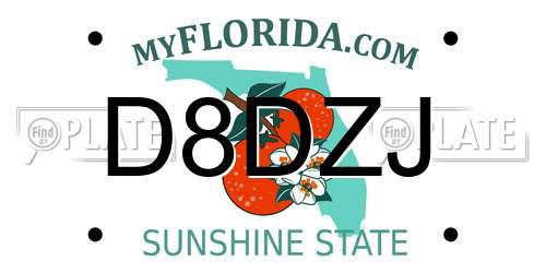 D8DZJ Florida License Plate