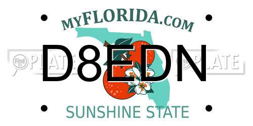 D8EDN Florida License Plate