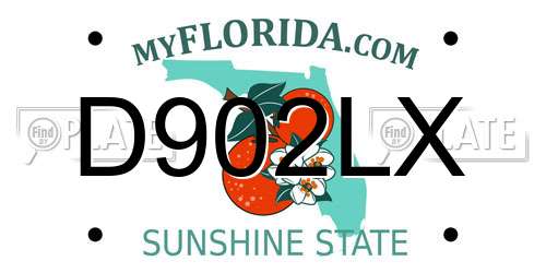 D902LX Florida License Plate