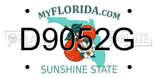 D9052G Florida License Plate