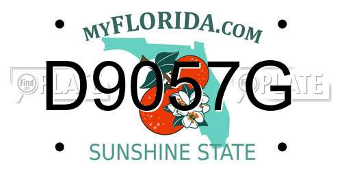 D9057G Florida License Plate