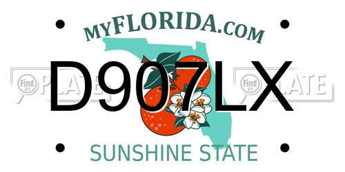 D907LX Florida License Plate