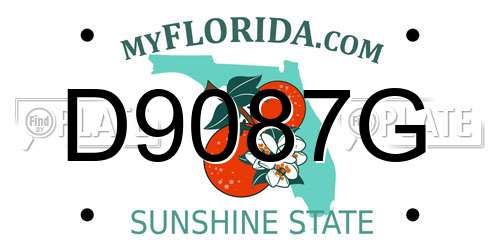 D9087G Florida License Plate