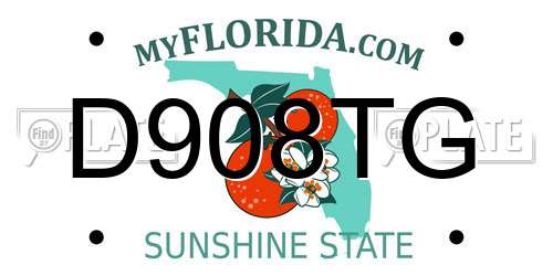 D908TG Florida License Plate