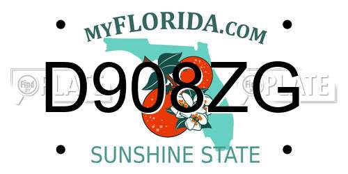 D908ZG Florida License Plate