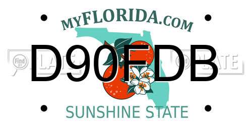 D90FDB Florida License Plate