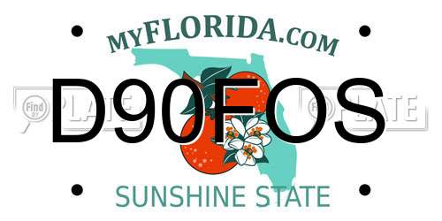 D90FOS Florida License Plate