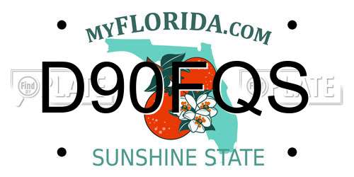 D90FQS Florida License Plate