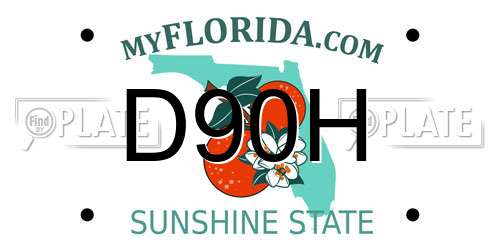 D90H Florida License Plate