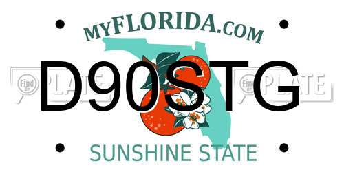 D90STG Florida License Plate