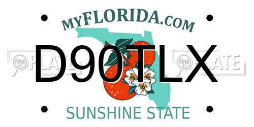 D90TLX Florida License Plate