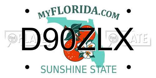 D90ZLX Florida License Plate