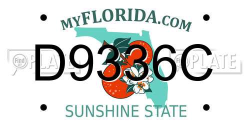 D9336C Florida License Plate