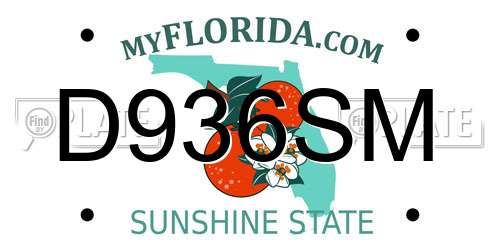 D936SM Florida License Plate