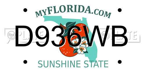 D936WB Florida License Plate