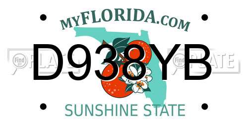 D938YB Florida License Plate