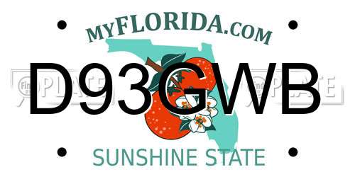 D93GWB Florida License Plate