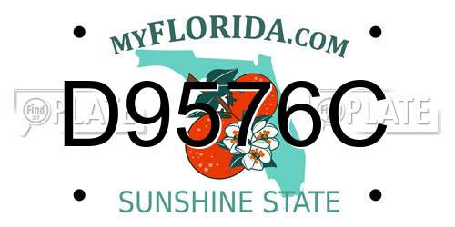 D9576C Florida License Plate