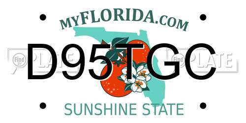 D95TGC Florida License Plate