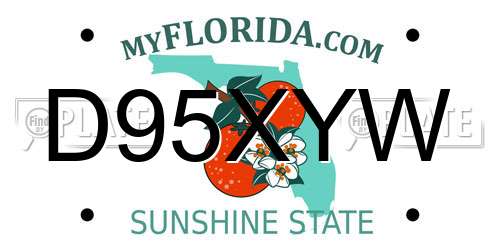D95XYW Florida License Plate