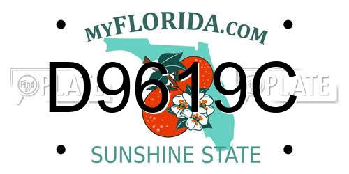 D9619C Florida License Plate