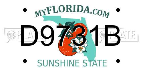 D9731B Florida License Plate