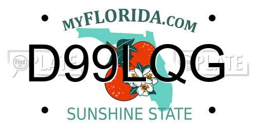 D99LQG Florida License Plate