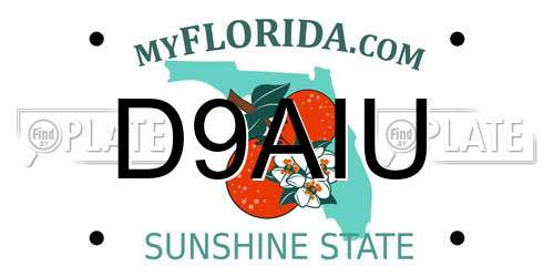 D9AIU Florida License Plate