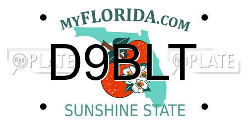 D9BLT Florida License Plate