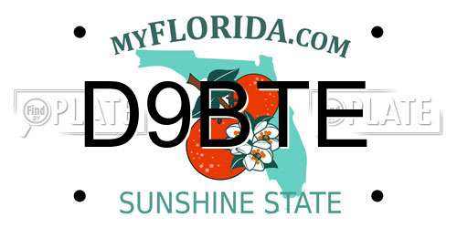 D9BTE Florida License Plate