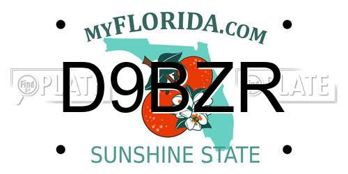 D9BZR Florida License Plate