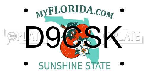 D9CSK Florida License Plate