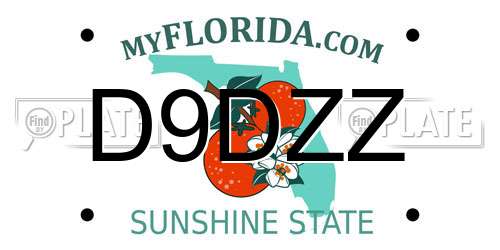 D9DZZ Florida License Plate