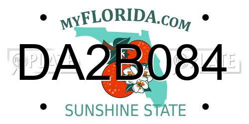 DA2B084 Florida License Plate