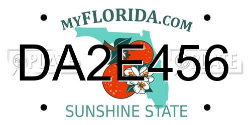 DA2E456 Florida License Plate