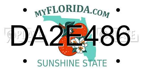 DA2E486 Florida License Plate