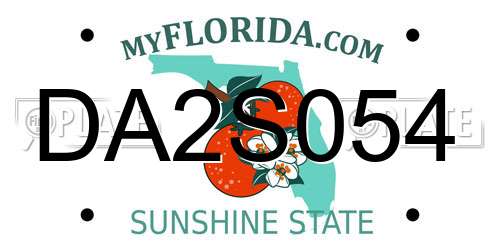DA2S054 Florida License Plate