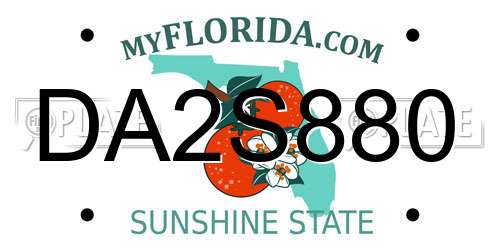 DA2S880 Florida License Plate